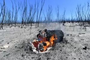 Огънят поглъща Австралия безмилостно