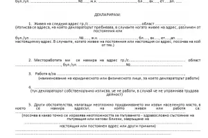 Комисията за лични данни даде рамо на МВР за КПП-декларациите 