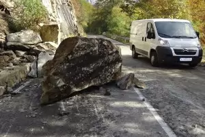 Дърво падна върху дете с тротинетка в "Лаута"