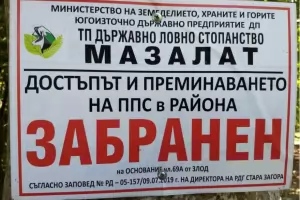 Ловни концесионери властват над 7 млн. декара гори и земи