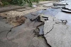 Буря нанесе сериозни щети в Лом, пропадна алея във Варна