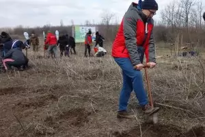 За закупен електроуред - засадено дърво
