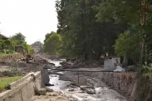 Институциите признаха, че за „безплатните“ дърва в Карлово  се плаща 