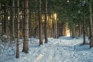 Силен отпор спря скандални промени за лифтове и ски писти