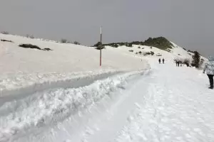 Снегът на Витоша пожълтя