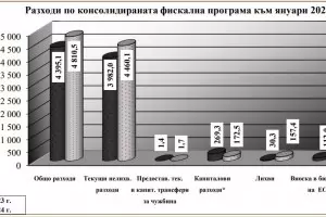 Бюджетът прелива с 1 млрд. лева