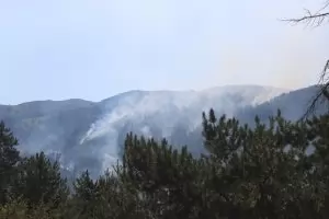 Взрив и огън край Русе вдигнаха пожарна, полиция и Енерго