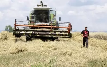 Жътвата започна при очаквани по-ниски добиви