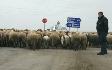   Бизнесът поиска да се "озаптят" непосилните тол такси 