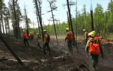 "Грийнпийс": Пожарите в Сибир се разрастват