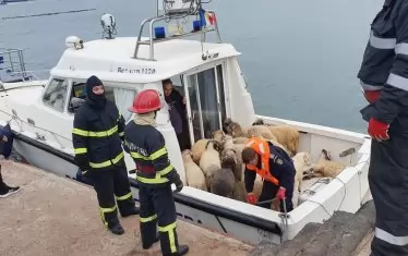 Кораб с над 14 000 овце се преобърна в Черно море