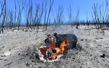 Огънят поглъща Австралия безмилостно