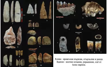 Неандерталци и Homo sapiens живеели съвместно край Дряново