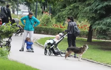 Всеки пети софиянец няма парк или градина до дома си