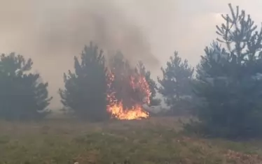  Безпомощната държава доуби Сакар с пожари