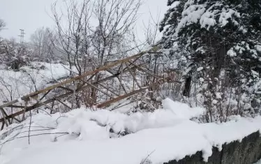 Въведен е режим на тока в някои райони на България