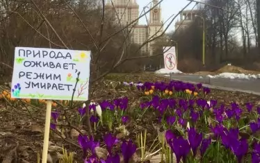 Доцент в Москва направи ботанически протест