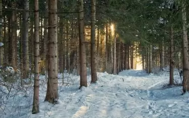 Силен отпор спря скандални промени за лифтове и ски писти