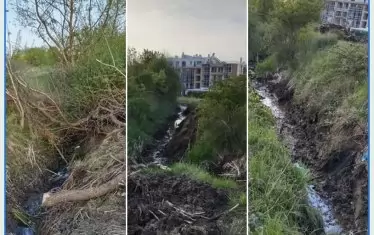 В Боянското блато над София пак копае багер