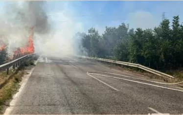 Големият пожар край Бобошево е овладян 